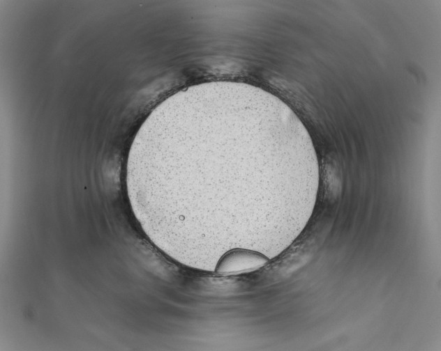 X0000111780668200908201111