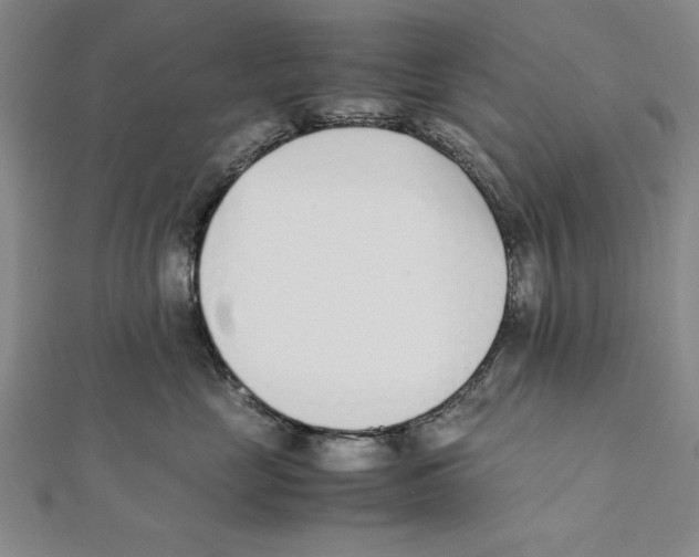 X0000111780669200908201111