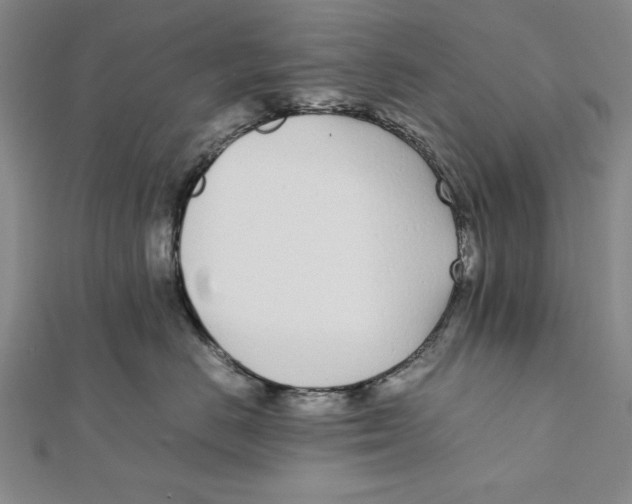 X0000111780670200908201111