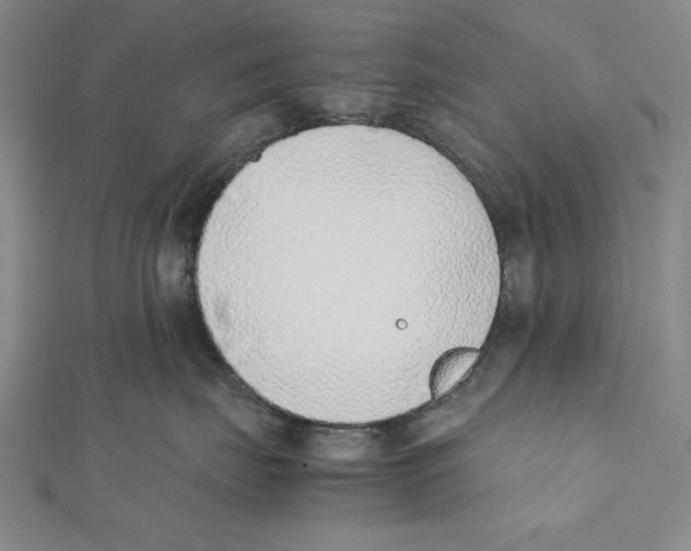 X0000111780671200908201111