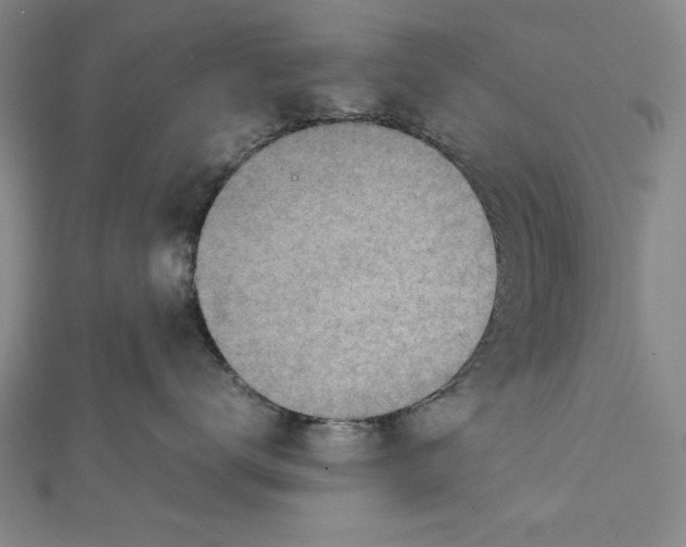 X0000111780672200908201111