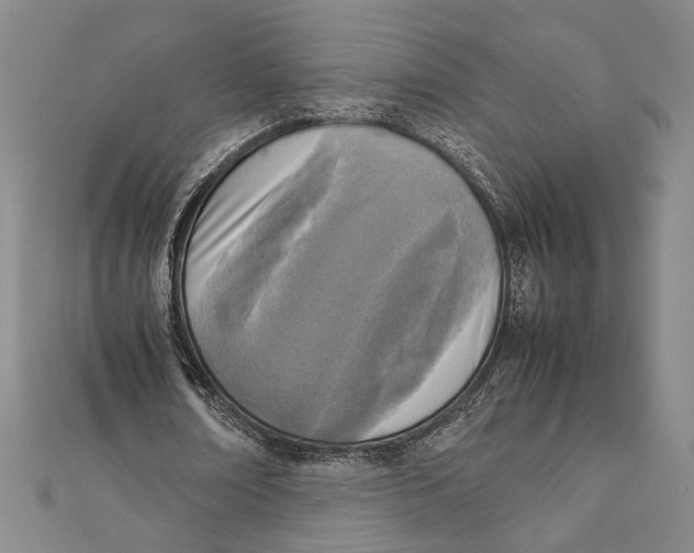 X0000111780674200908201110