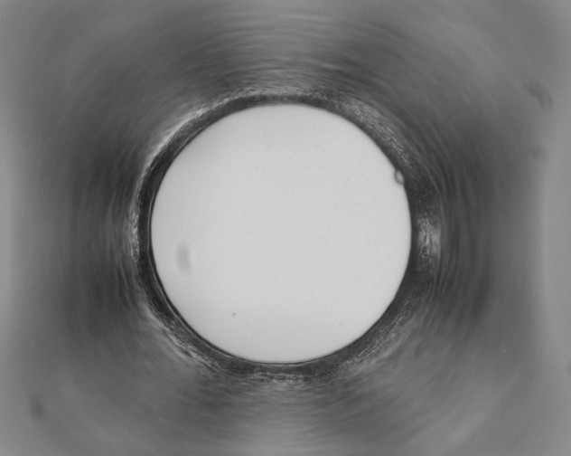 X0000111780676200908201110