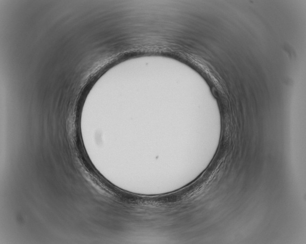 X0000111780677200908201110