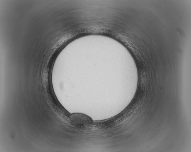 X0000111780679200908201110