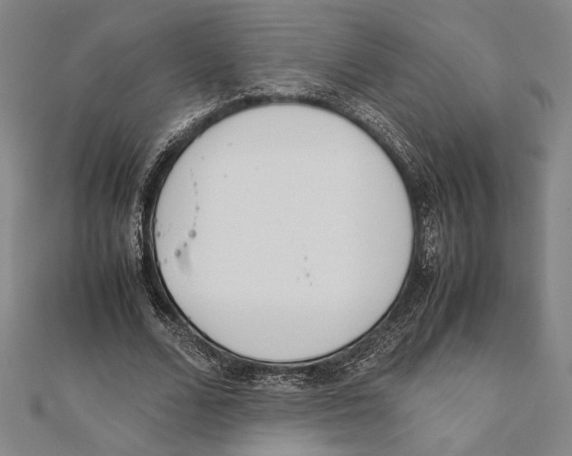 X0000111780680200908201110