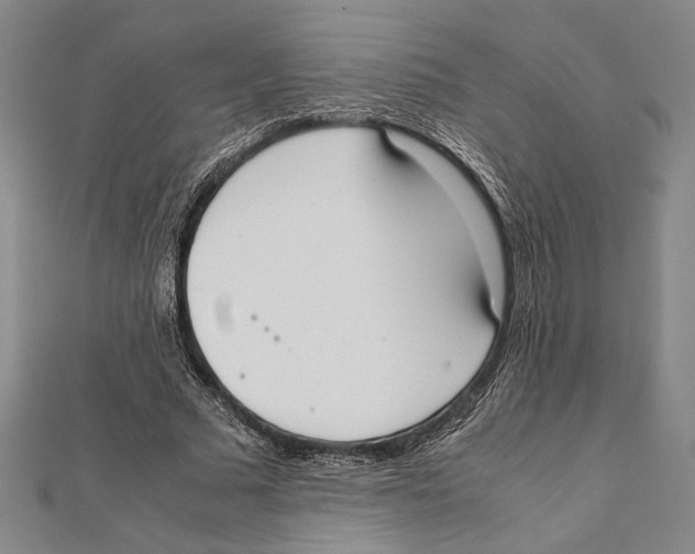 X0000111780681200908201110
