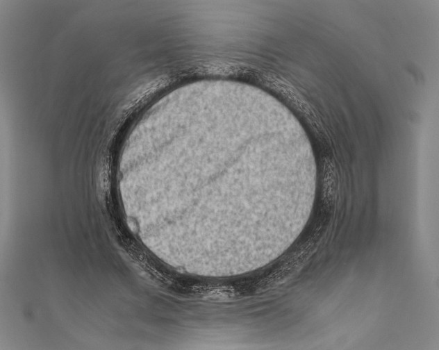 X0000111780683200908201110