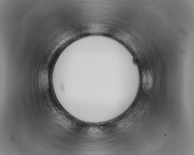 X0000111780684200908201110