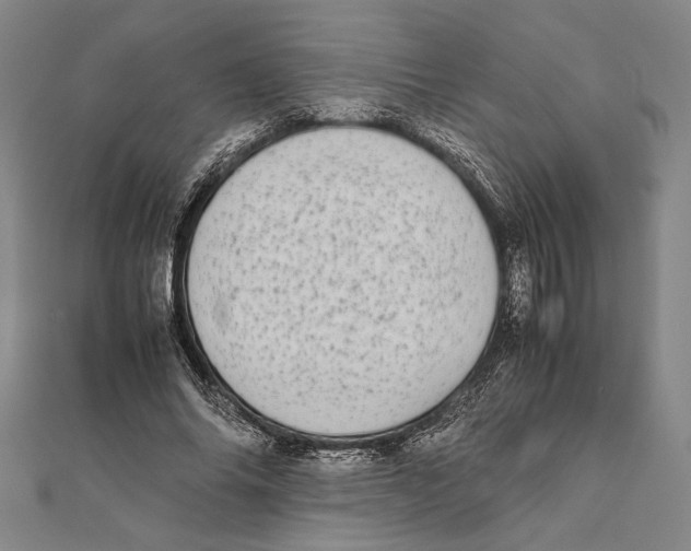 X0000111780686200908201110