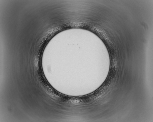 X0000111780687200908201110