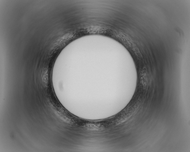 X0000111780690200908201110