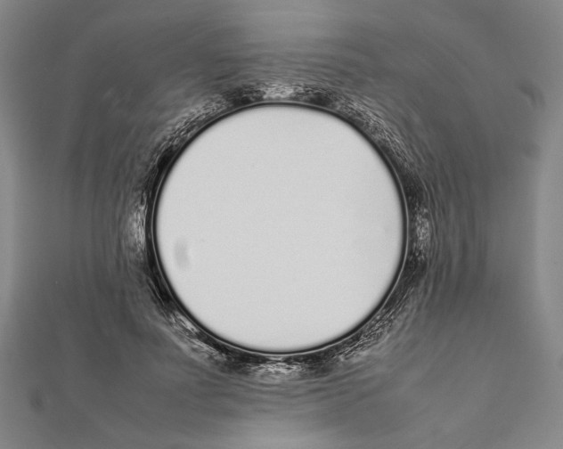 X0000111780691200908201110