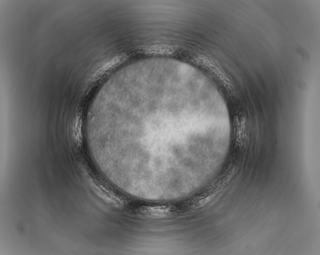 X0000111780692200908201110