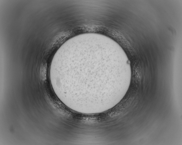 X0000111780694200908201110