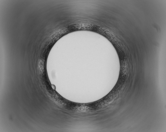 X0000111780695200908201110