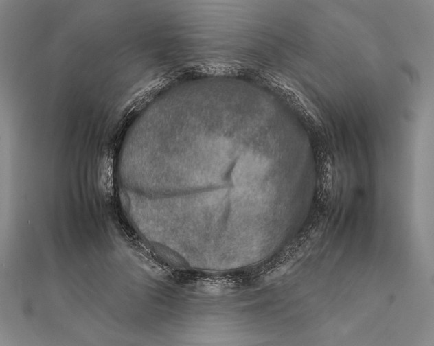 X0000111780696200908201110