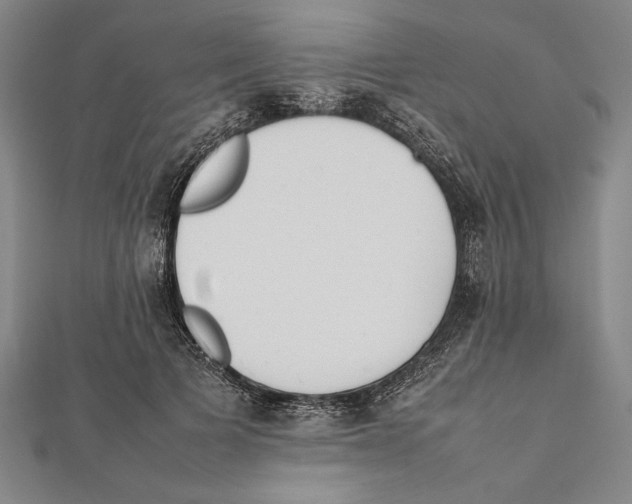 X0000111780697200908201110