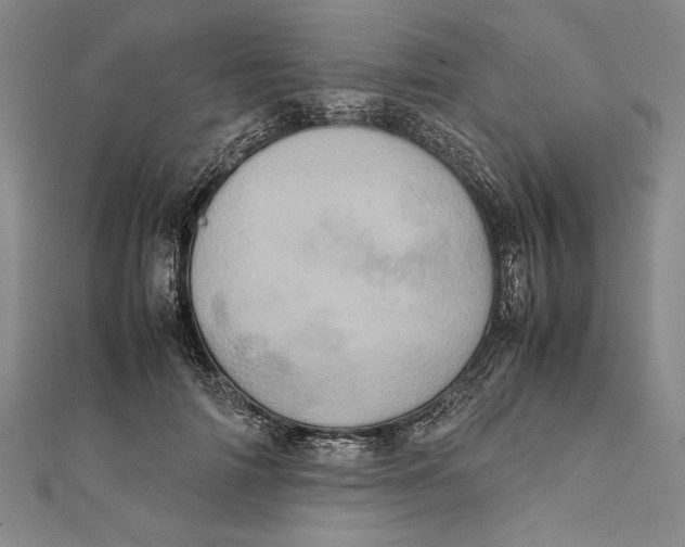X0000111780698200908201110