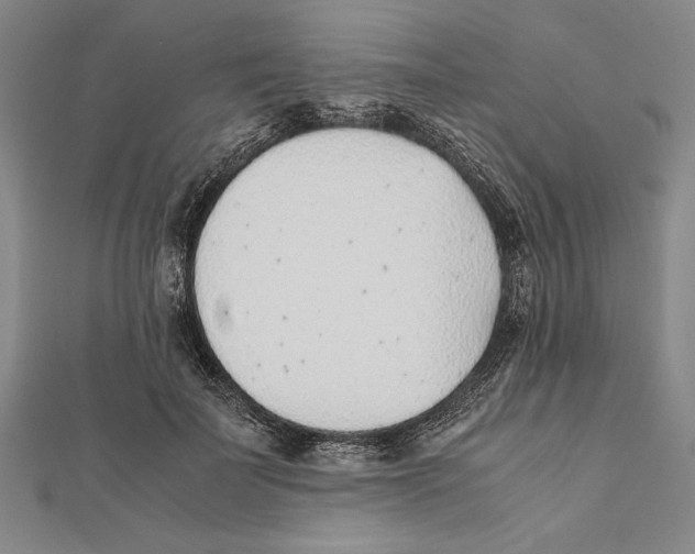 X0000111780699200908201110