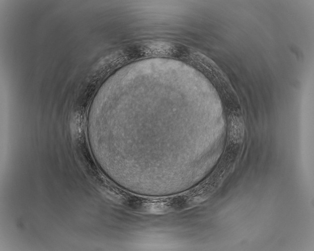 X0000111780701200908201110