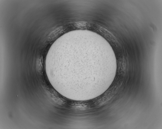 X0000111780702200908201110