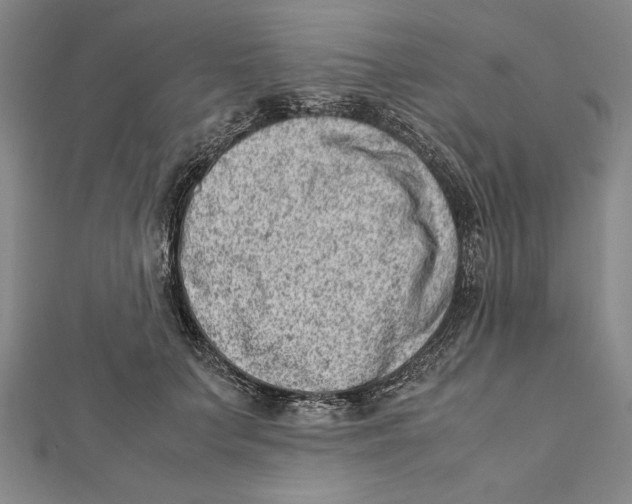 X0000111780703200908201110