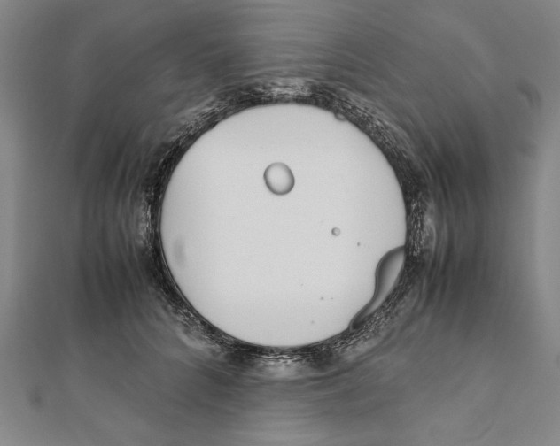 X0000111780704200908201110