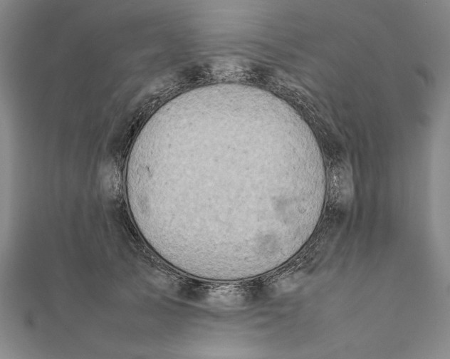 X0000111780705200908201110