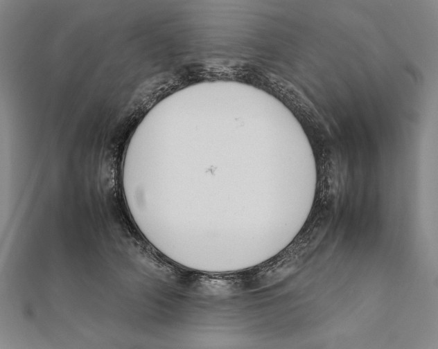 X0000111780706200908201110