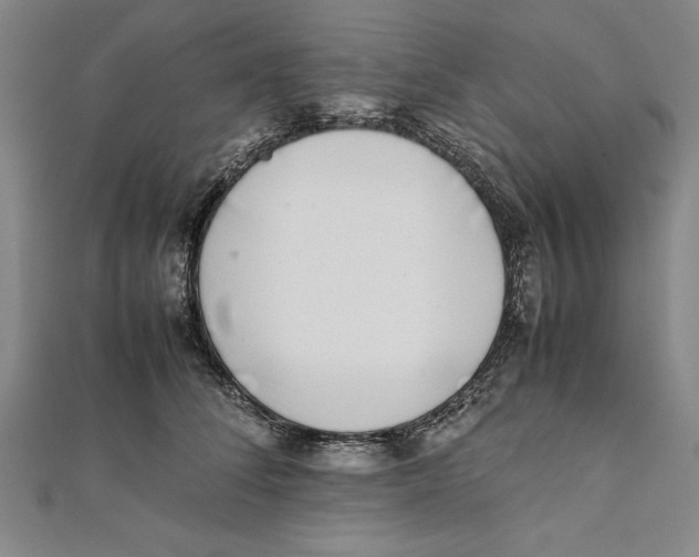 X0000111780708200908201110