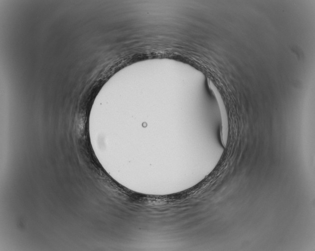 X0000111780709200908201110