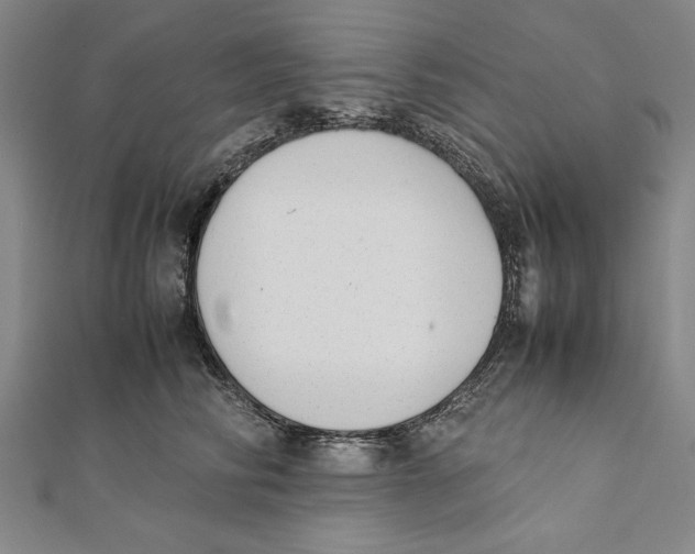 X0000111780710200908201110