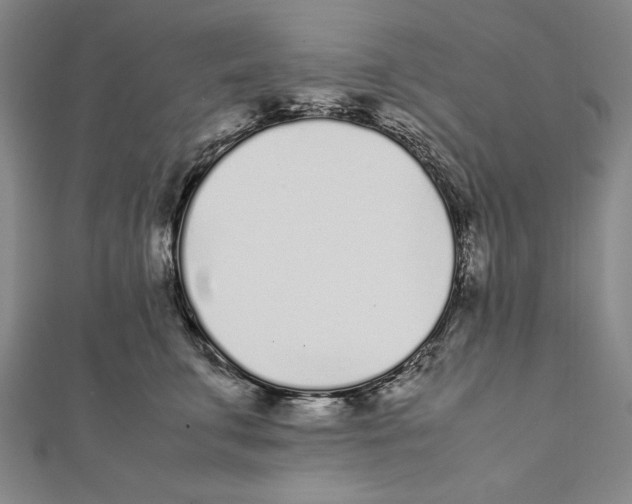 X0000111780711200908201110