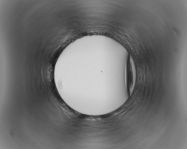 X0000111780712200908201110