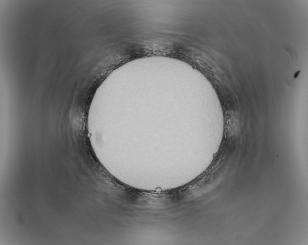 X0000111780713200908201110
