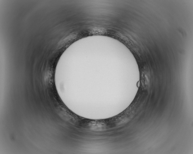 X0000111780714200908201110