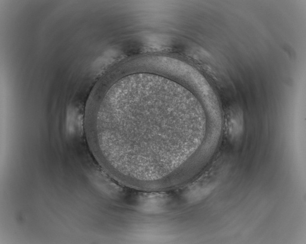 X0000111780716200908201110