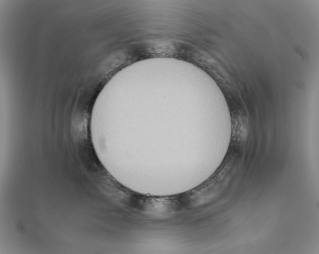 X0000111780717200908201110