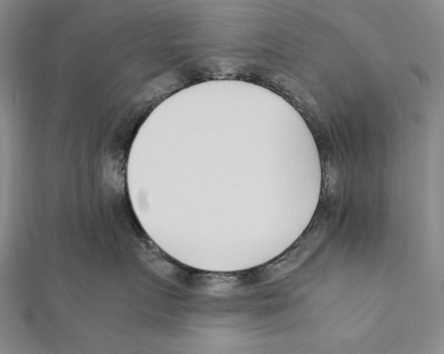 X0000111780719200908201110