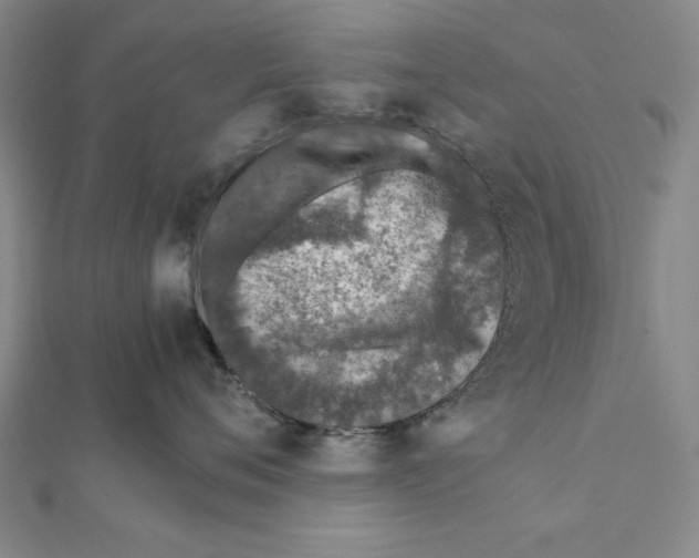 X0000111780720200908201110
