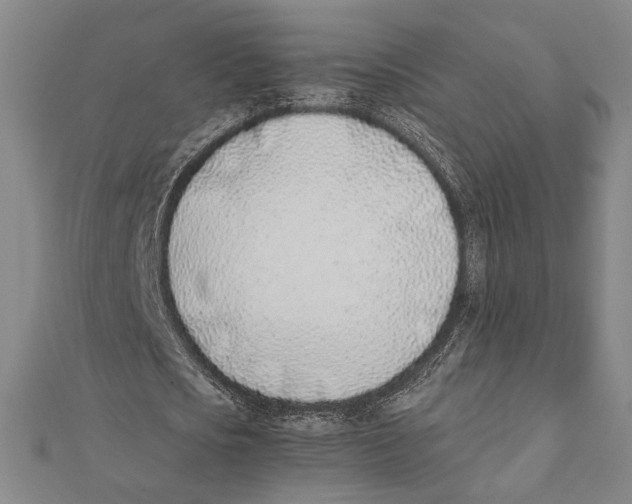 X0000111780721200908201109