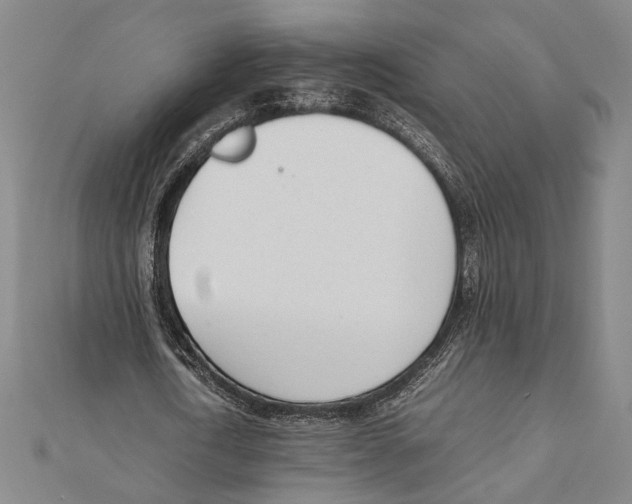 X0000111780722200908201109