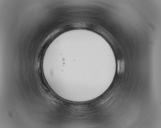 X0000111780723200908201109