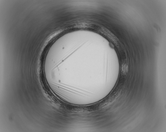 X0000111780724200908201109