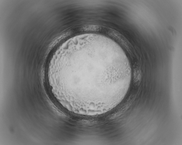X0000111780725200908201109