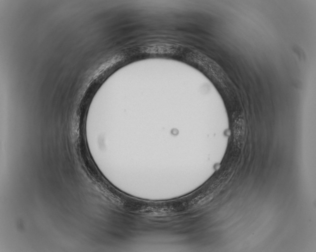 X0000111780727200908201109