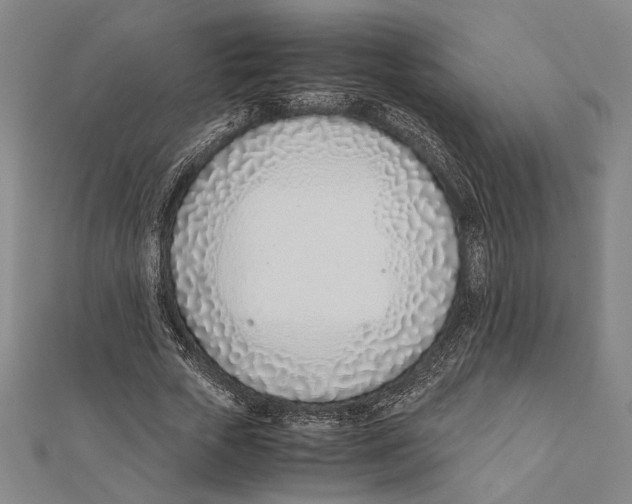 X0000111780729200908201109