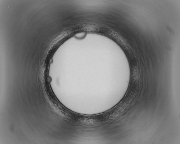 X0000111780730200908201109