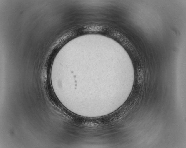 X0000111780731200908201109